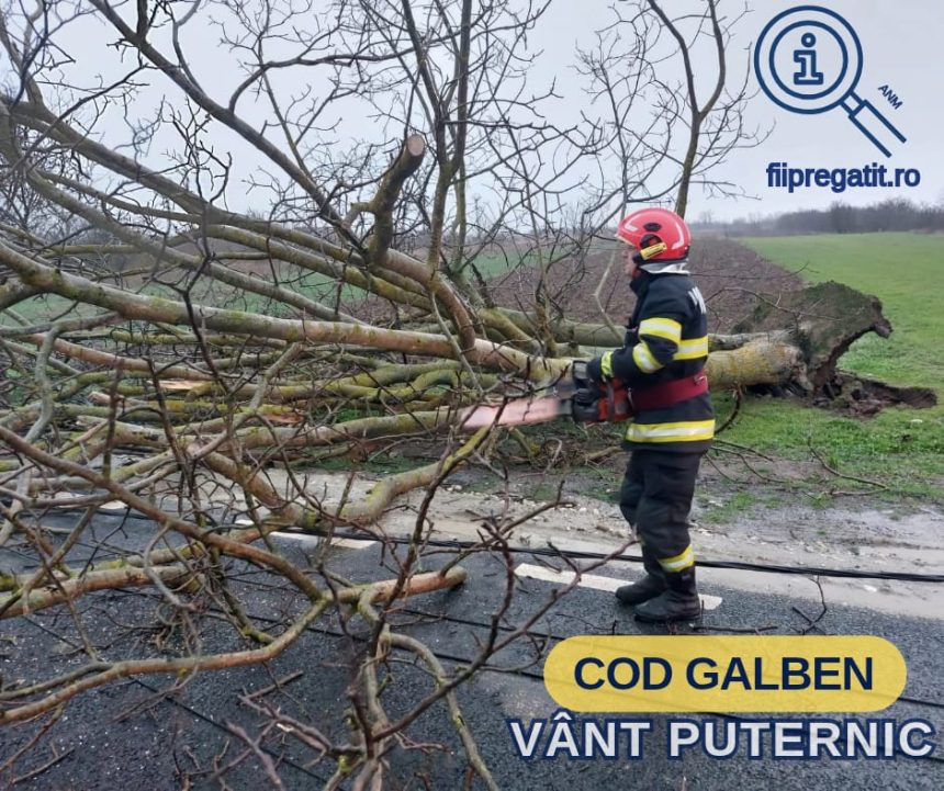 Alerte de vant galben in judetul Giurgiu