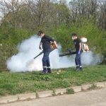 Giurgiu Servicii Publice incepe activitatile de dezinsectie terestra mai intai in parcuri si apoi in celelalte zone verzi