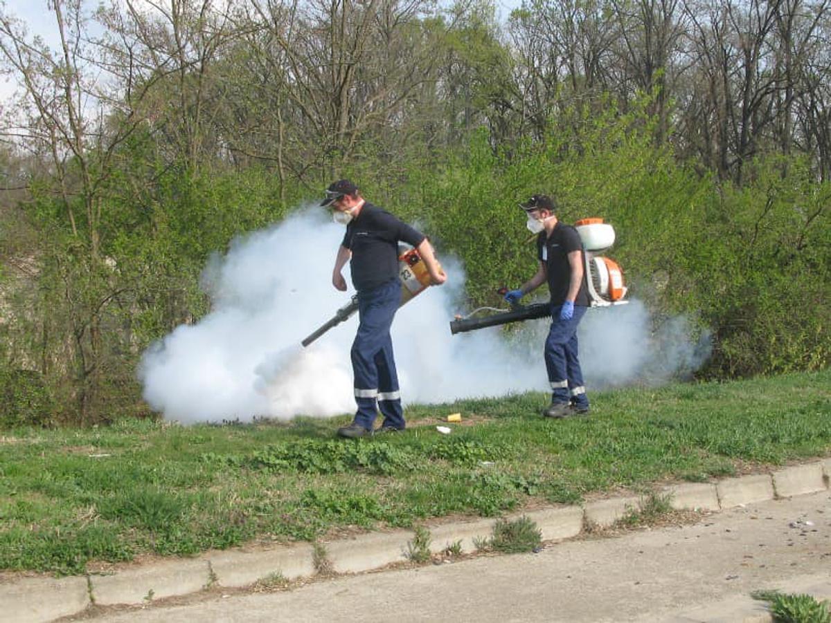 Giurgiu Servicii Publice incepe activitatile de dezinsectie terestra mai intai in parcuri si apoi in celelalte zone verzi