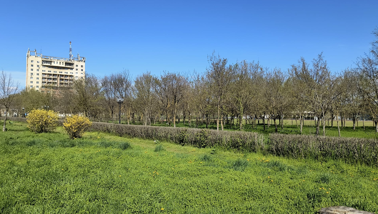Parcul Tineretului locul targului saptamanal si al celor doua balciuri anuale va fi denumit Parcul Lucian Iliescu