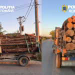 Comercianti de lemn din Arges surprinsi de politisti in Ghimpati
