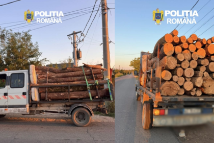 Comercianti de lemn din Arges surprinsi de politisti in Ghimpati