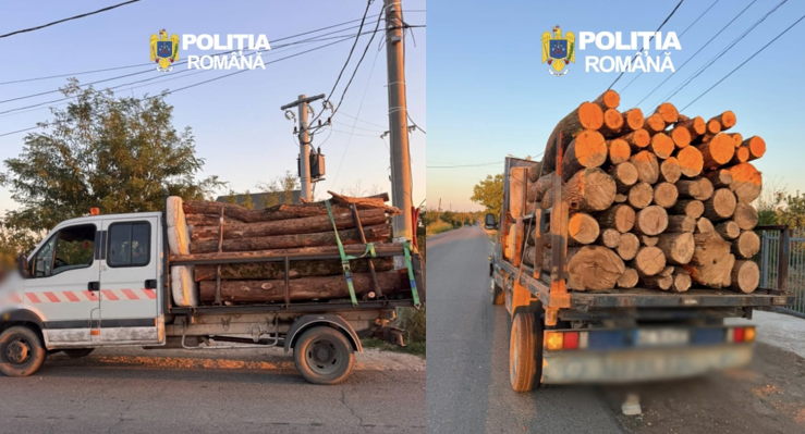 Comercianti de lemn din Arges surprinsi de politisti in Ghimpati
