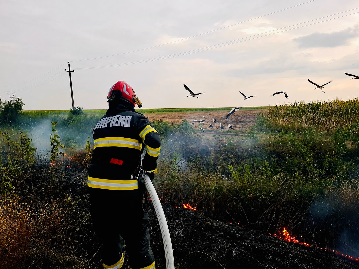 Giurgiu Sapte incendii de vegetatie in ultimele zile