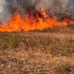 Judetul Giurgiu Patru incendii de vegetatie uscata in ultimele 24 de ore