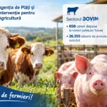APIA: Situația depunerii cererilor de ajutor de stat pentru bovine și porcine